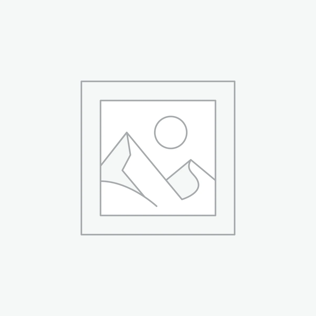 Non proident sunt in